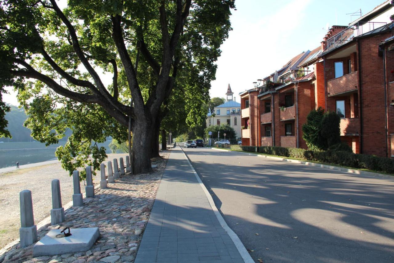 Old Town Apartment With A Separate Entrance 考纳斯 外观 照片